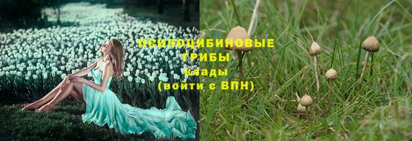 дурь Арсеньев