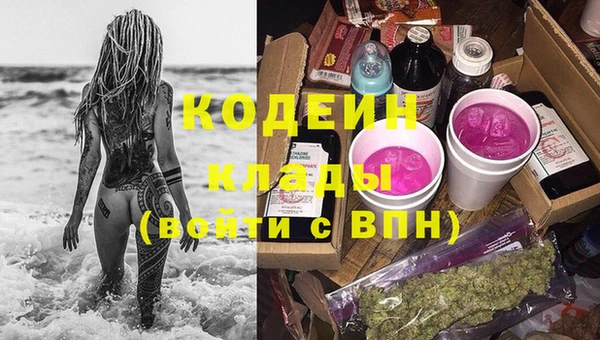 дурь Арсеньев