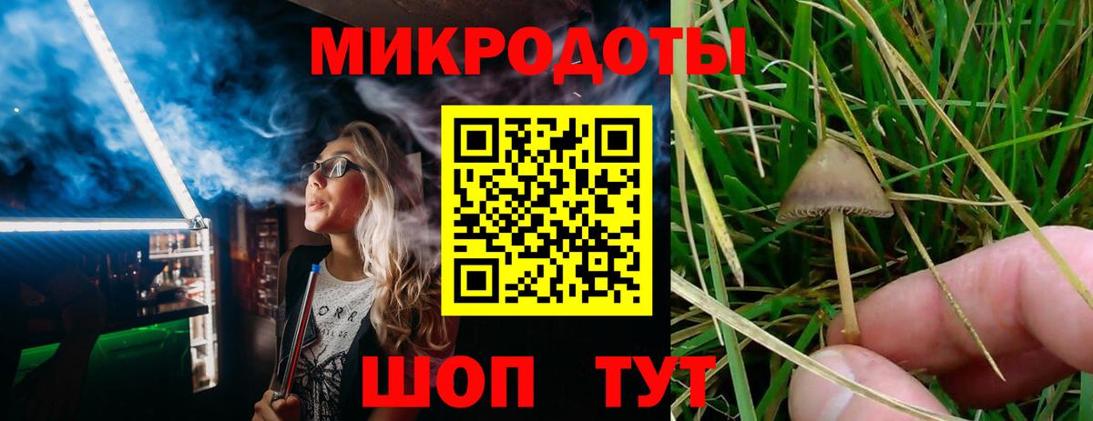 Псилоцибиновые грибы ЛСД  Вход с VPN  что такое   Междуреченск 