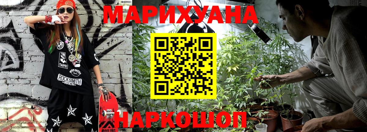 Бошки Шишки семена  Марихуана гибрид  Междуреченск  Вход с VPN  Конопля OG Kush 